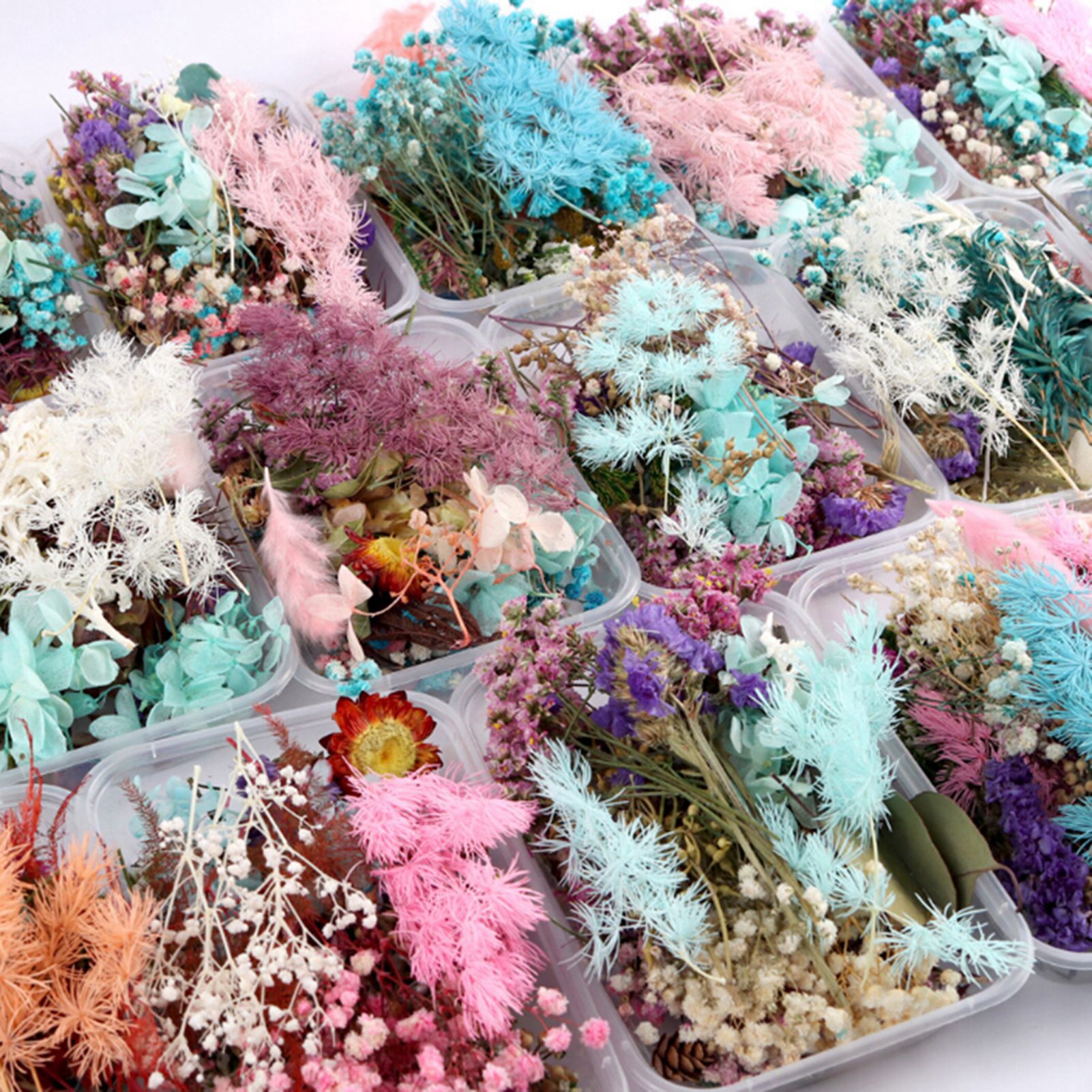 Baby Products Natural - Dried flower handmade DIY production material