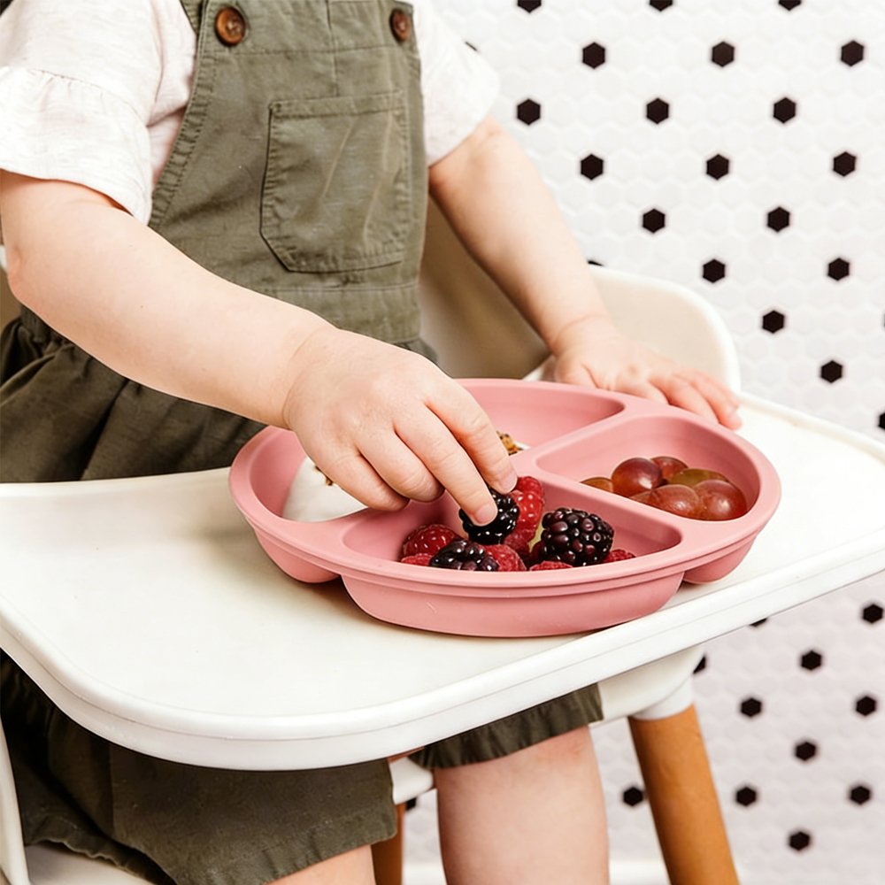 1 Pack Toddler Plate, Divided  - Baby Led Weaning Set review and price