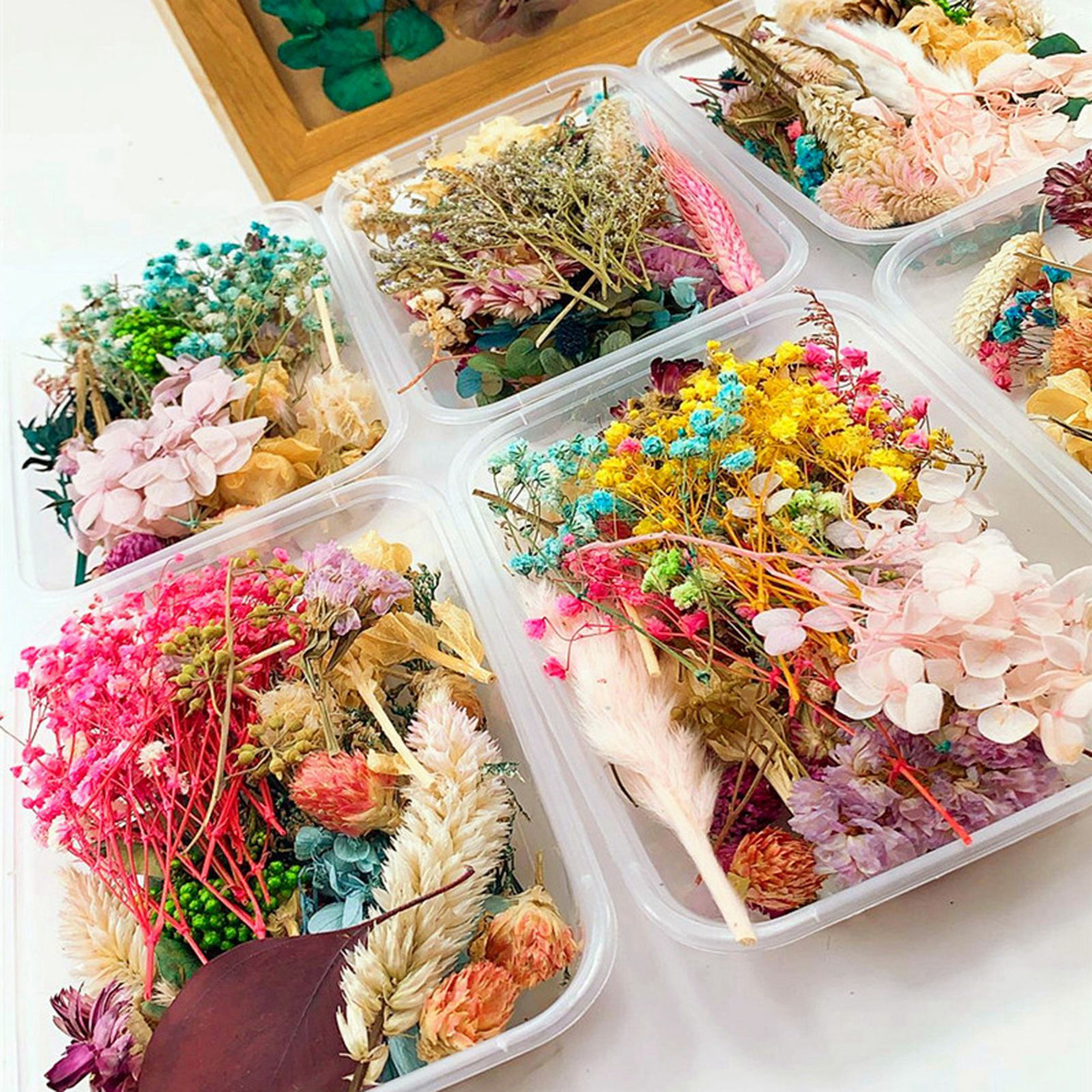 Dried flower handmade DIY prod - Baby Products Natural review and price