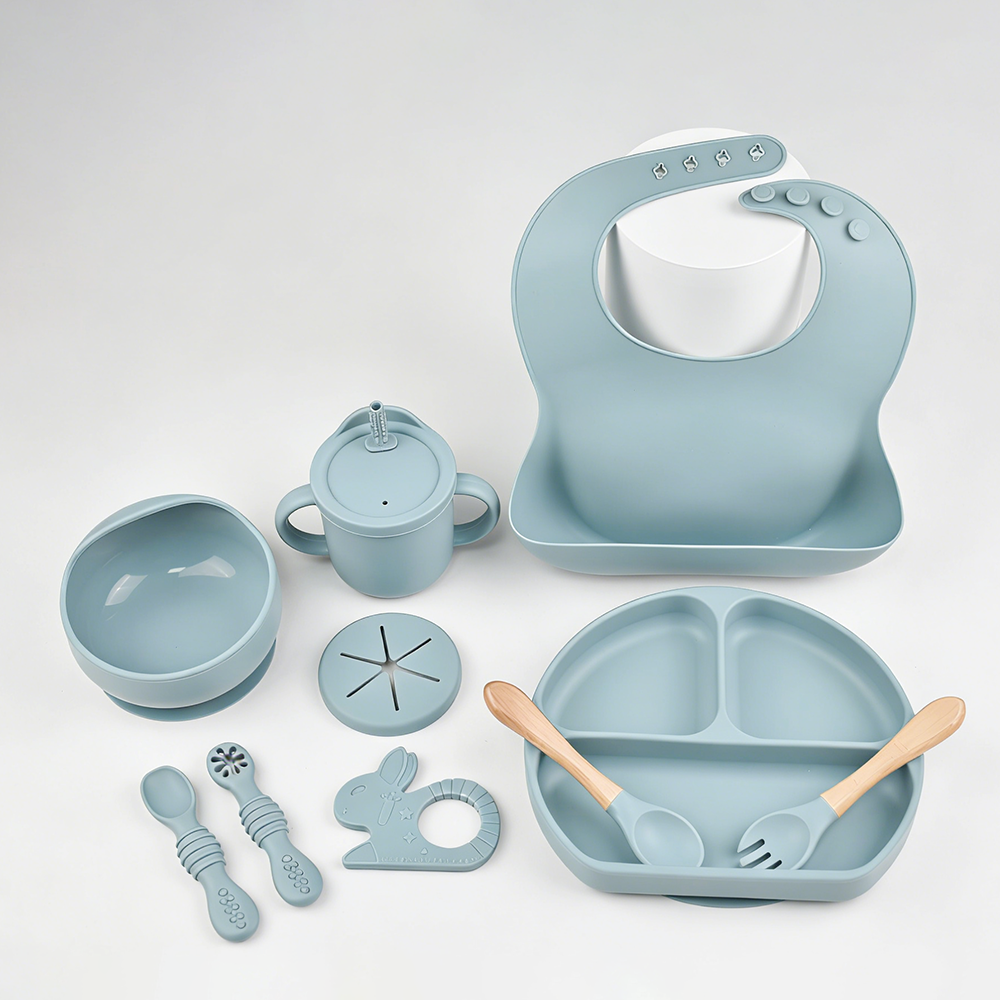 9PCS Baby Silicone Feeding Set - Baby Led Weaning Set review and price